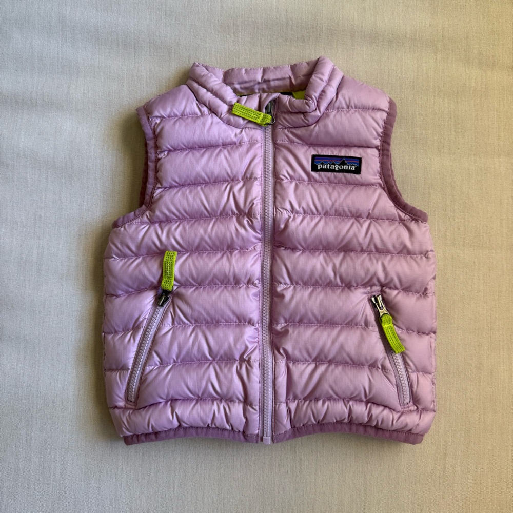 Patagonia Down Sweater Vest